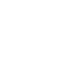 logo-index